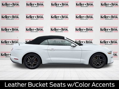 2019 Ford Mustang EcoBoost Premium