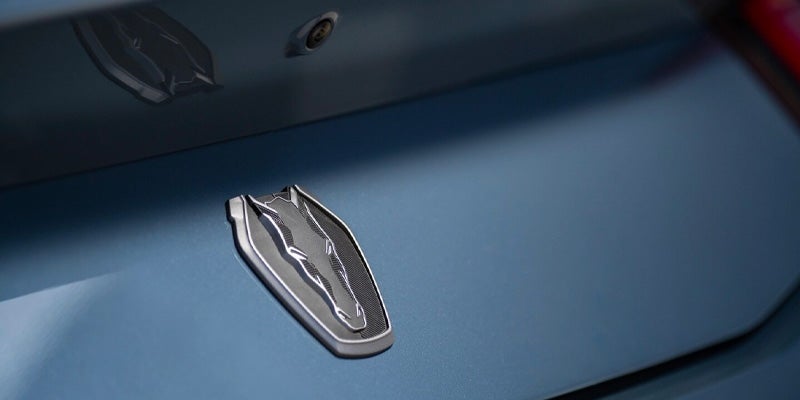 Gray and black car emblem featuring a horse-like figure on a blue car surface, with a small camera lens above it.
