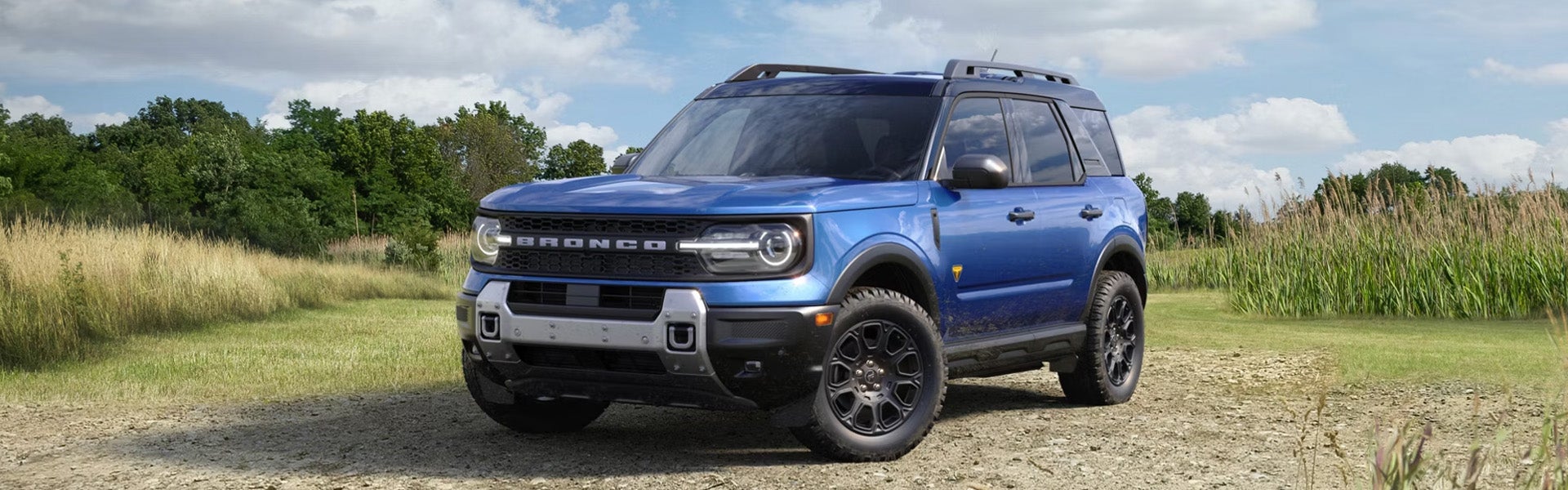 Blue Ford Bronco Sport SUV on a dirt road, with tall grass and trees under a cloudy sky.